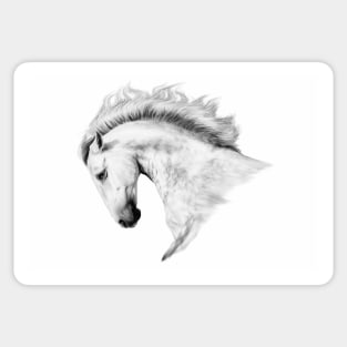 white Lusitano Horse Sticker